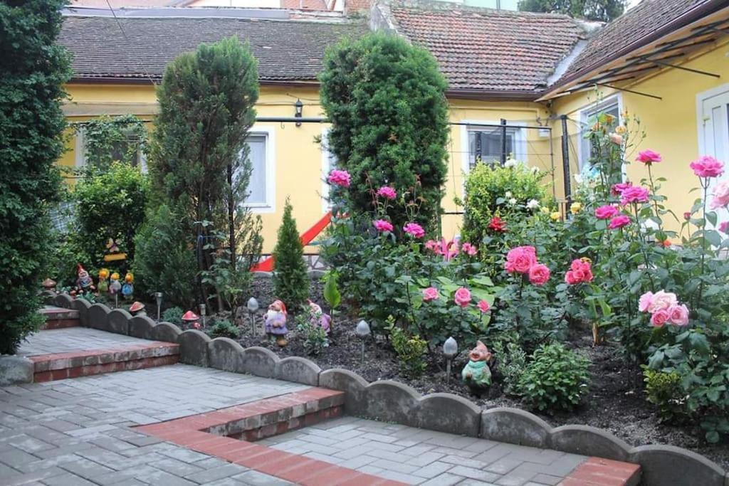 Color Home Hermannstadt 1 المظهر الخارجي الصورة